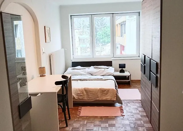 Apartament 3-zimmer-stadtapartment Mit Terrasse